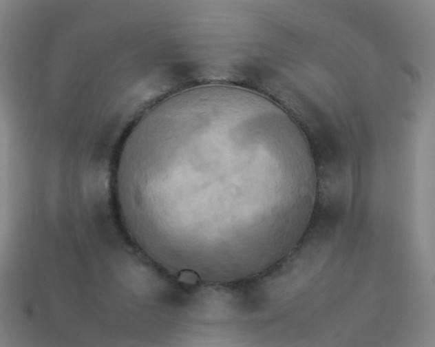 X0000114110207200910191709