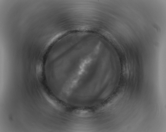 X0000114110208200910191709