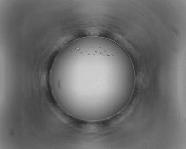 X0000114110209200910191709