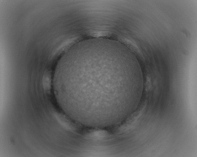 X0000114110210200910191709