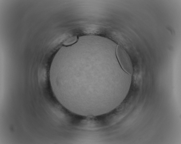 X0000114110211200910191709