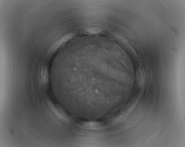 X0000114110212200910191709