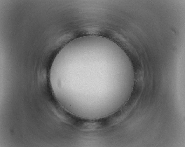 X0000114110213200910191709