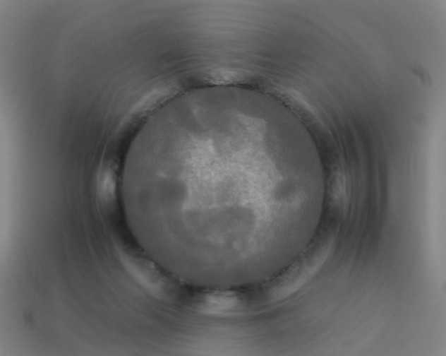 X0000114110214200910191709