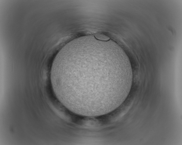 X0000114110215200910191709