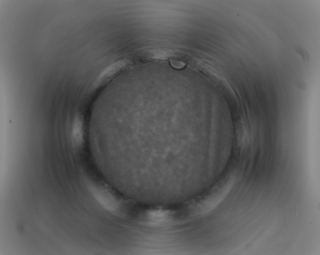 X0000114110216200910191709