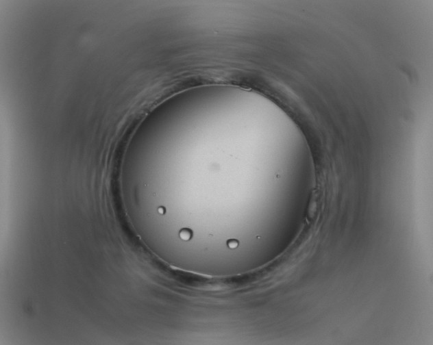 X0000114110217200910191709