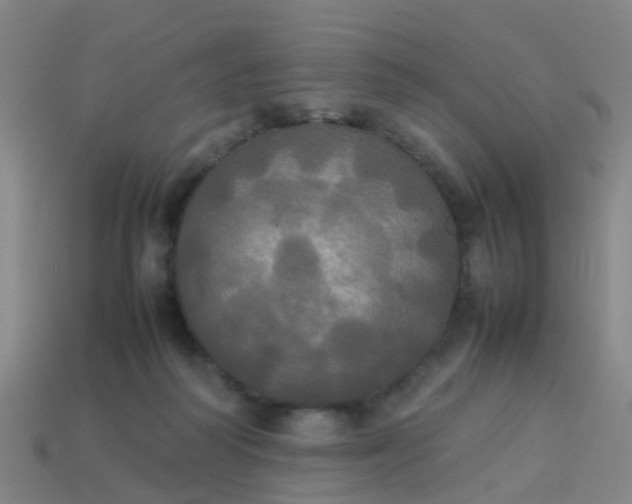 X0000114110218200910191709