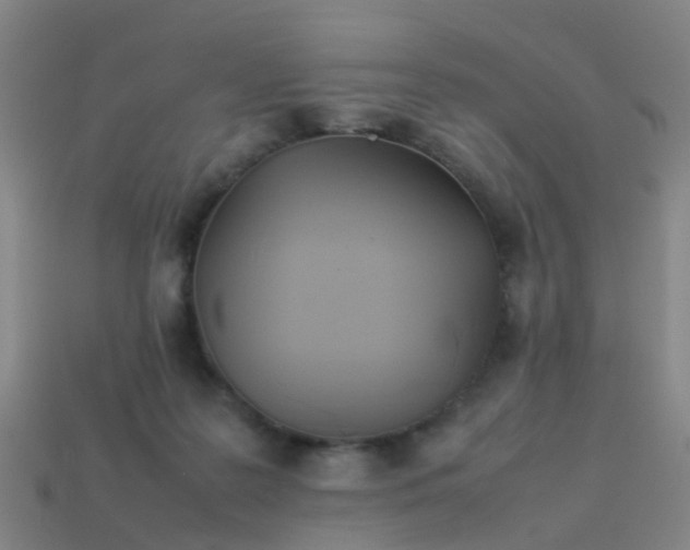 X0000114110219200910191709