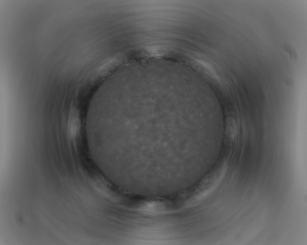 X0000114110220200910191709