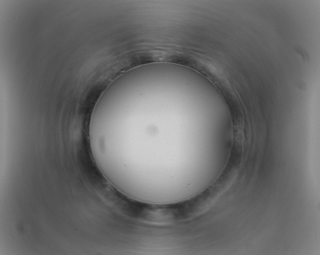 X0000114110221200910191709