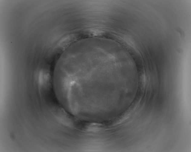 X0000114110222200910191709