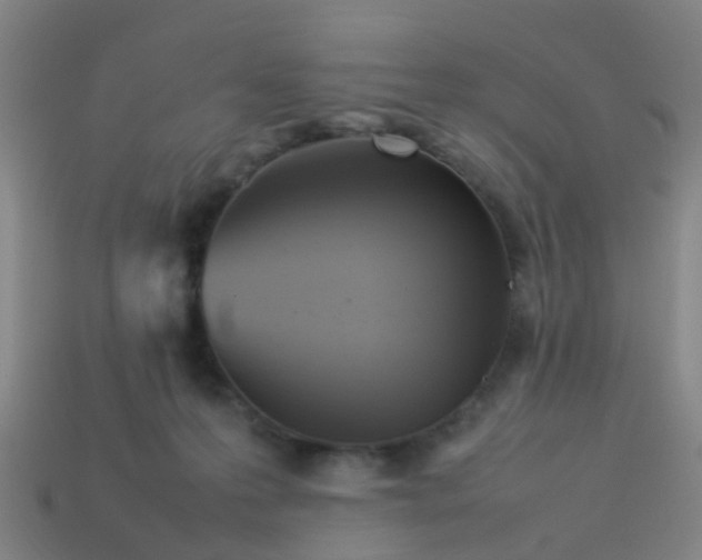 X0000114110223200910191709