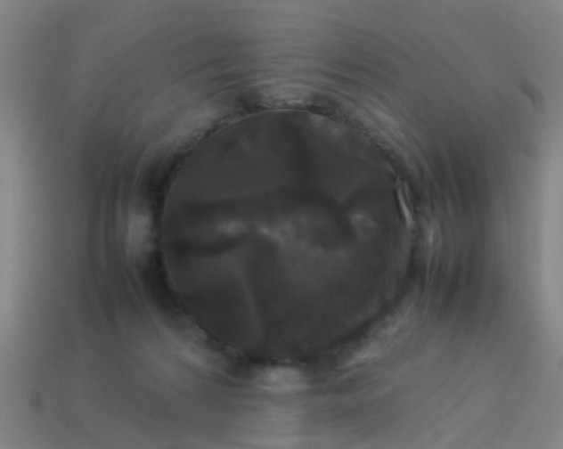 X0000114110224200910191709