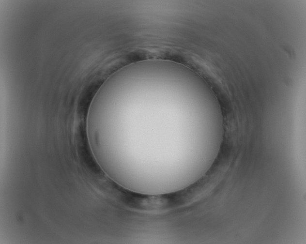 X0000114110225200910191709