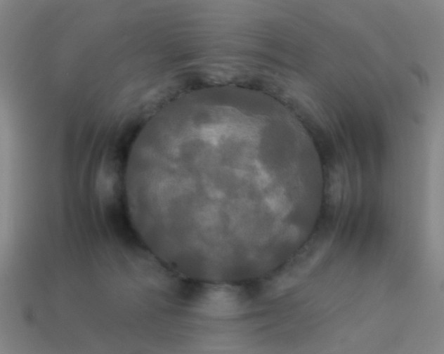 X0000114110226200910191709