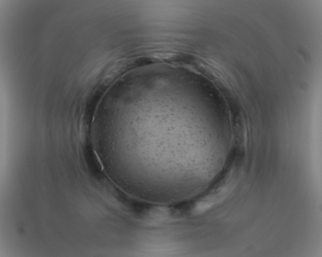 X0000114110227200910191709