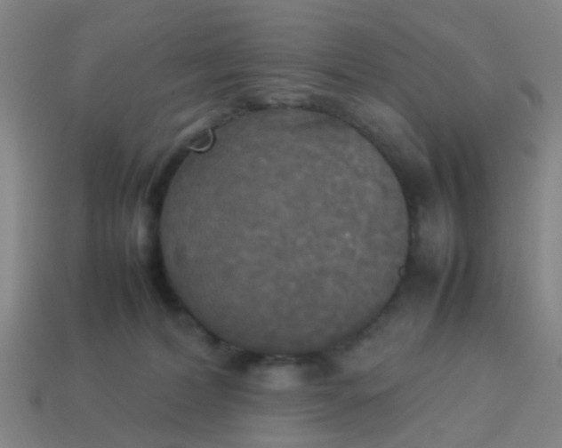 X0000114110228200910191709