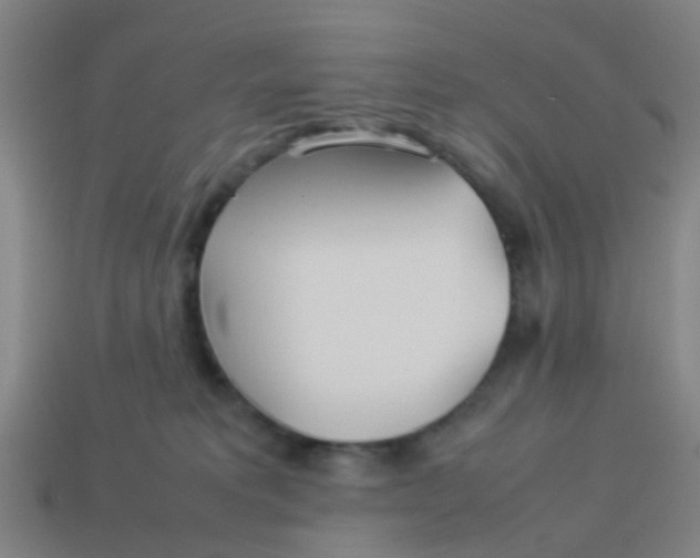 X0000114110229200910191709