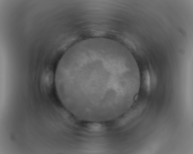 X0000114110230200910191709