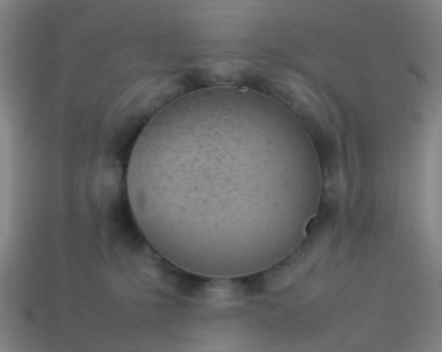 X0000114110231200910191709