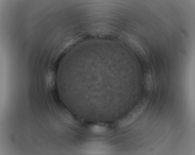 X0000114110232200910191709