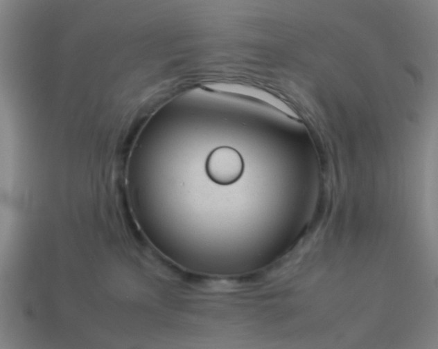 X0000114110233200910191709