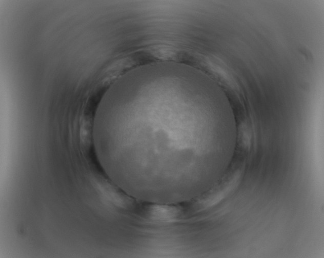 X0000114110234200910191709