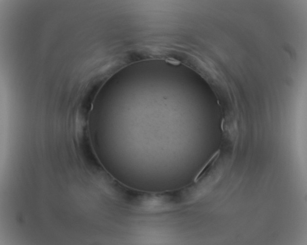 X0000114110235200910191709