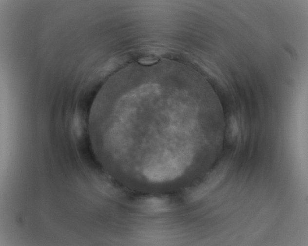 X0000114110236200910191709