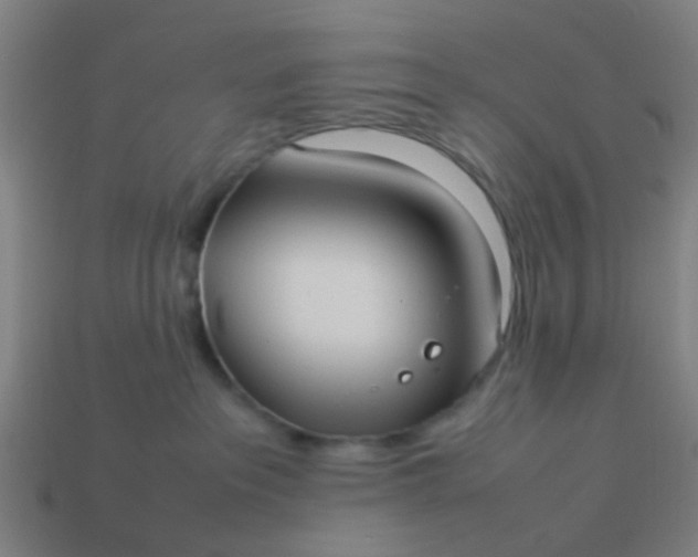 X0000114110237200910191709