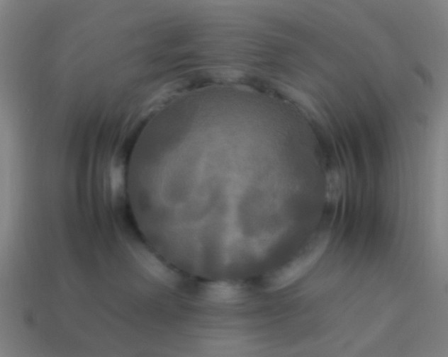 X0000114110238200910191709