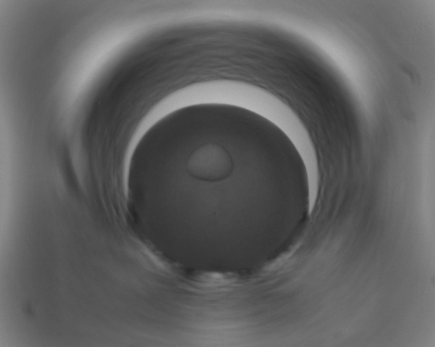 X0000114110239200910191709