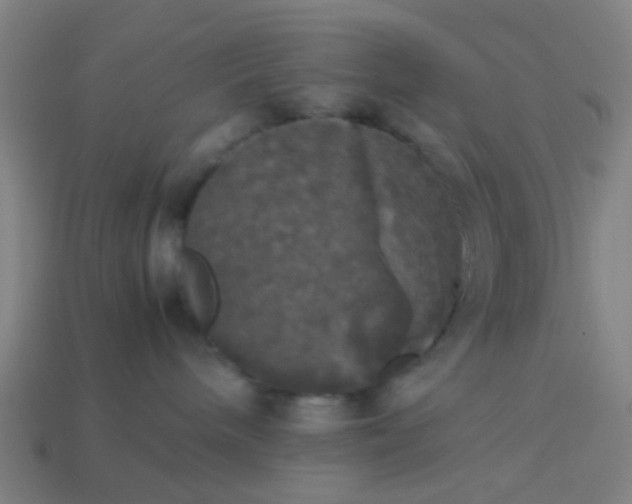 X0000114110240200910191709