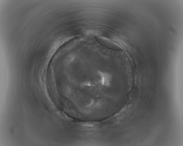 X0000114110241200910191708