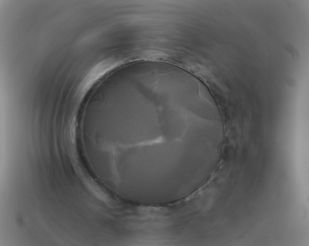 X0000114110242200910191708