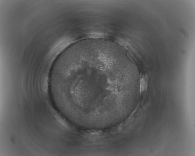 X0000114110243200910191708