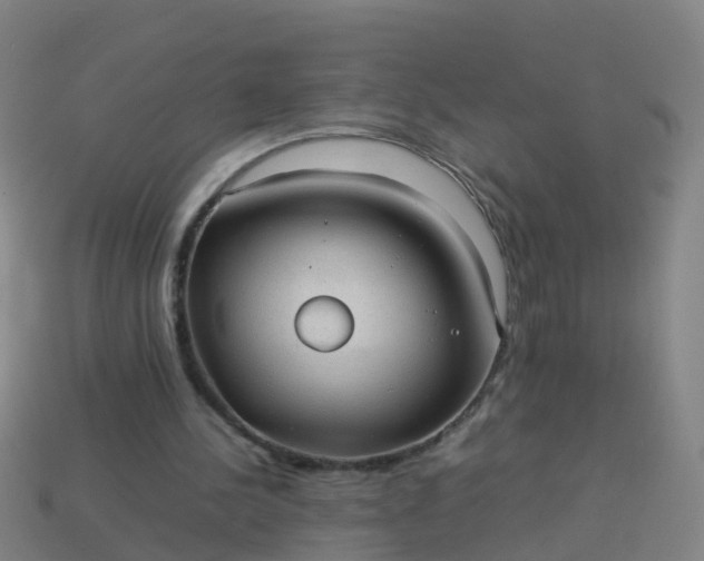 X0000114110244200910191708