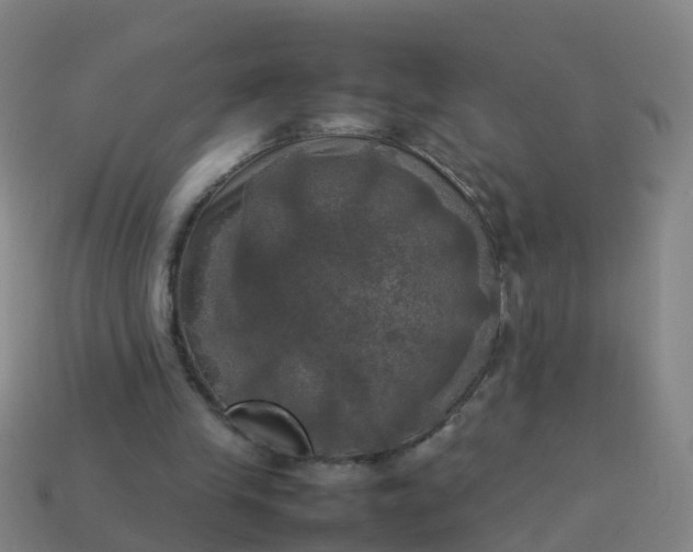 X0000114110245200910191708