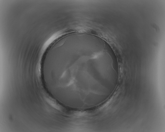 X0000114110246200910191708