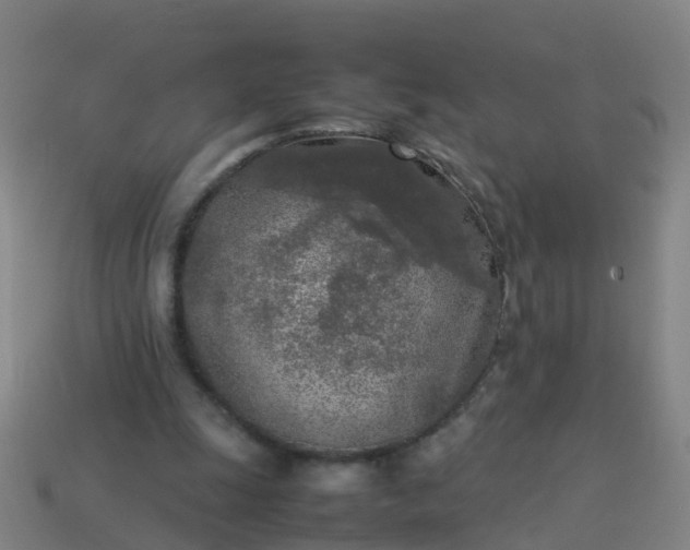 X0000114110247200910191708