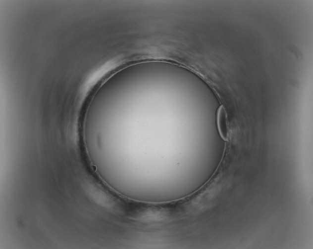 X0000114110248200910191708