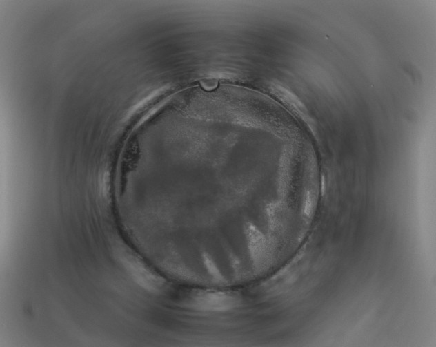 X0000114110249200910191708