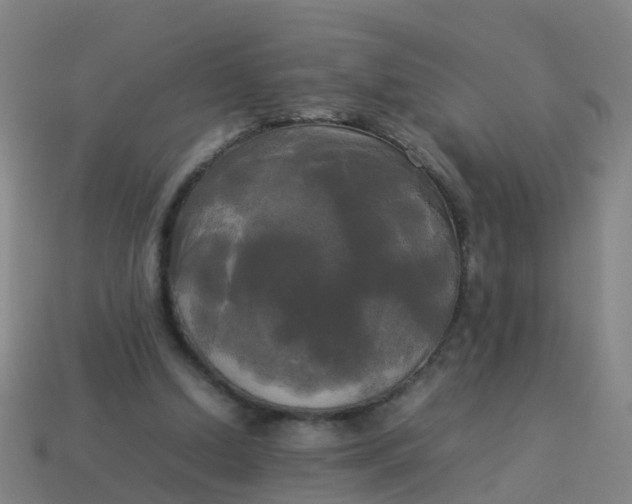 X0000114110250200910191708