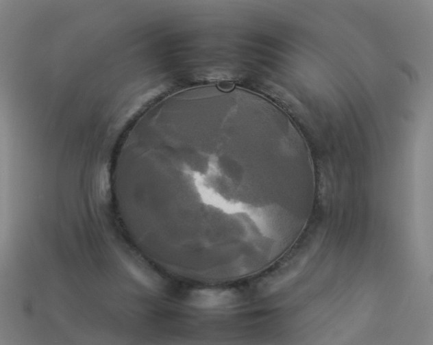 X0000114110251200910191708