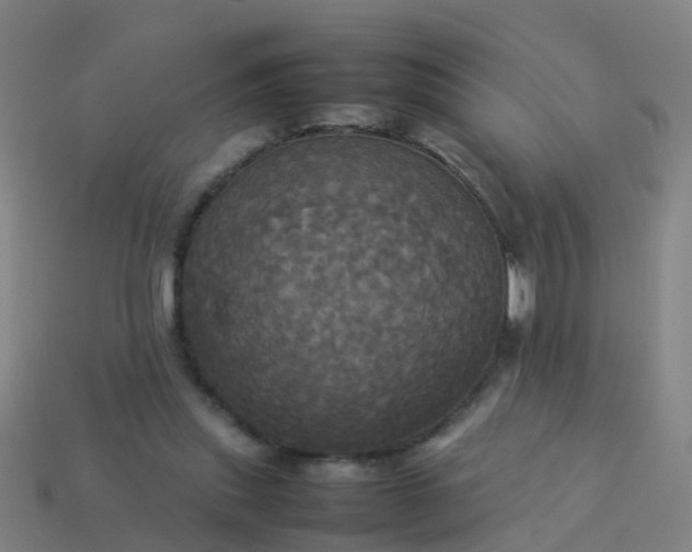 X0000114110253200910191708