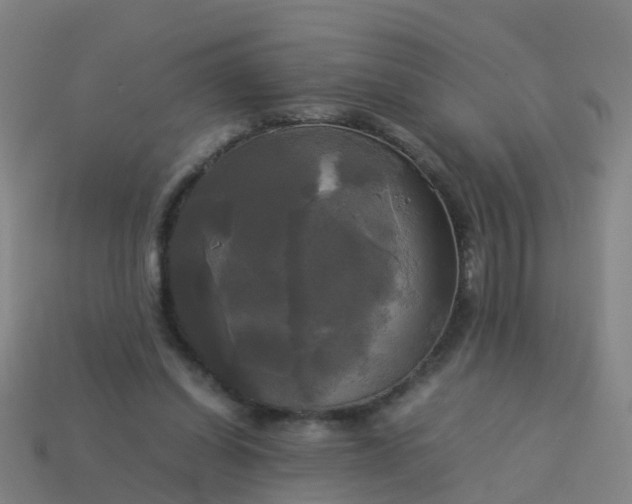 X0000114110254200910191708