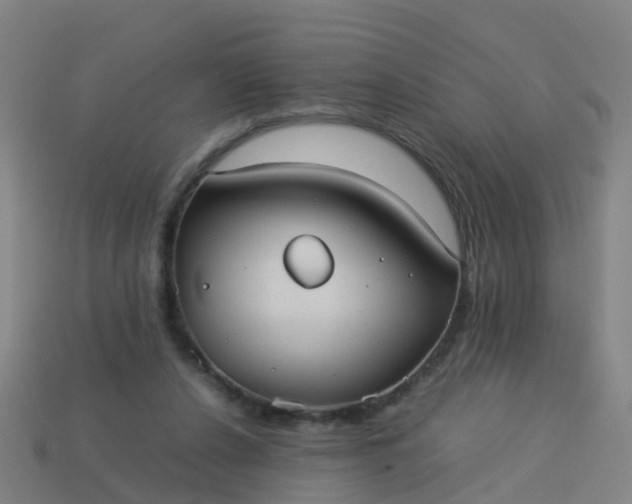 X0000114110256200910191708