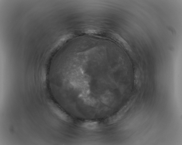 X0000114110257200910191708