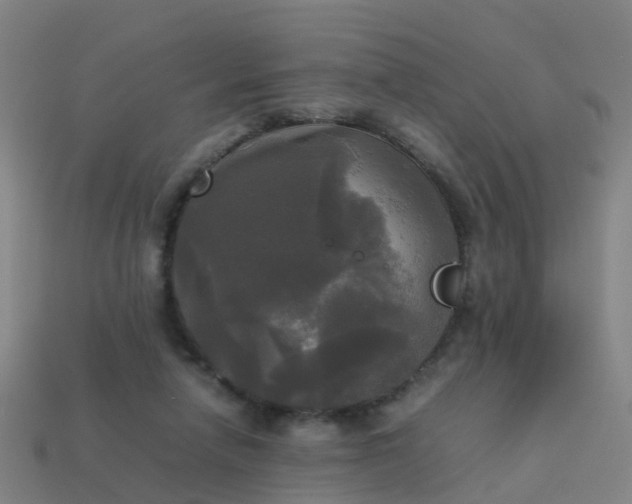 X0000114110258200910191708